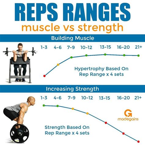 How Muscles Respond to Weight Training Image